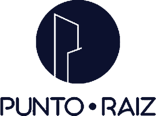 Punto Raíz