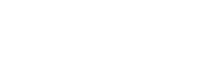 Zota AI Consulting